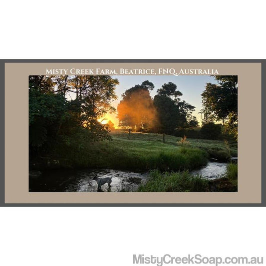 A life change, and a goal to work towards Self Sufficiency in Far North Queensland, Australia