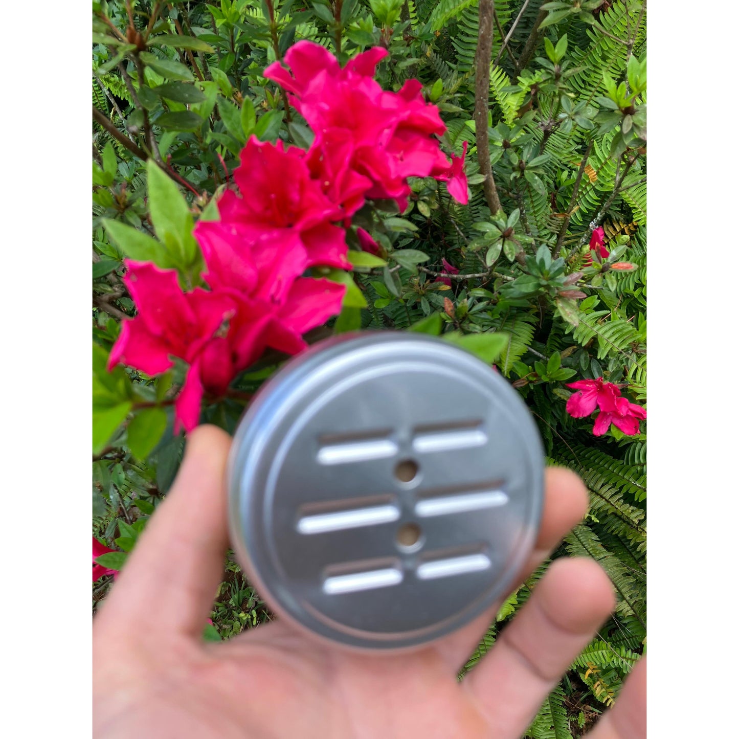 Pink Grapefruit Essential Oil Shampoo Bars