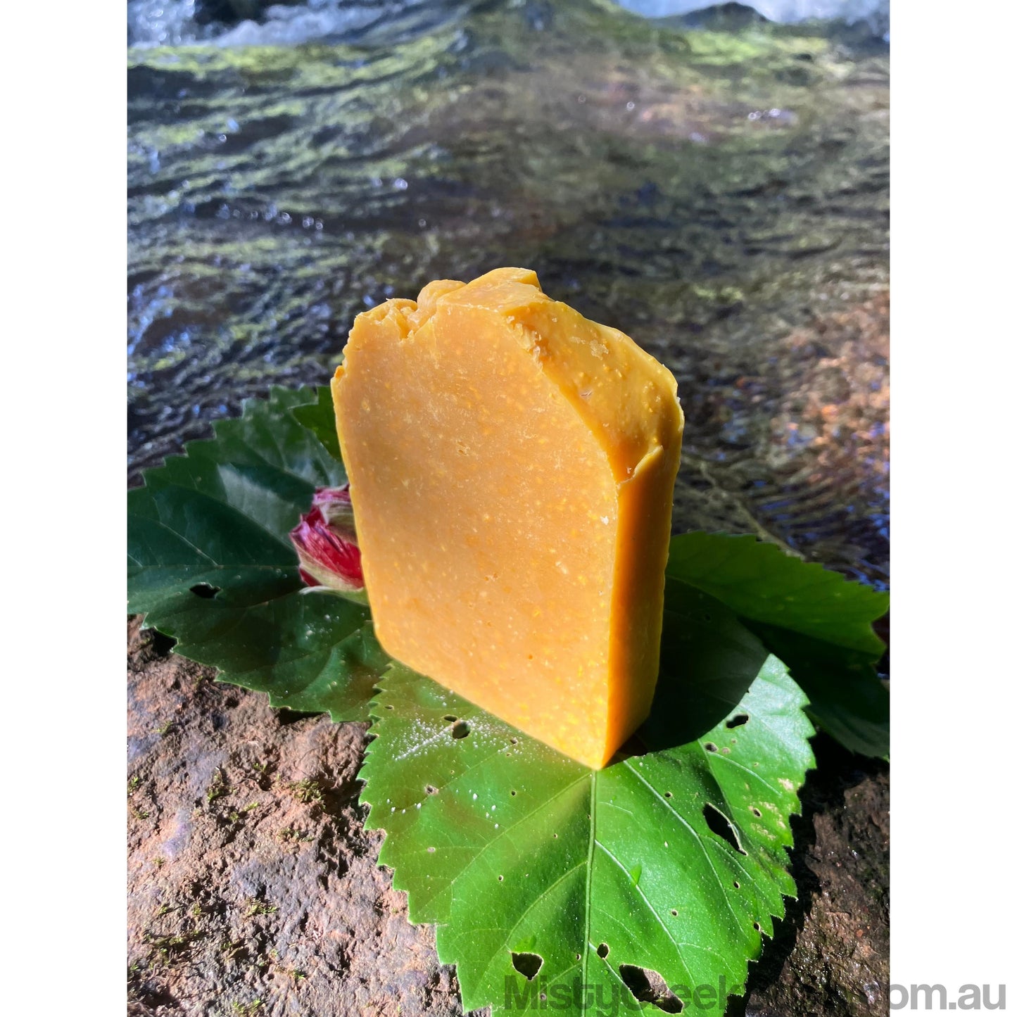 Biodynamic Cow’s Milk, Pumpkin & Spice Soap