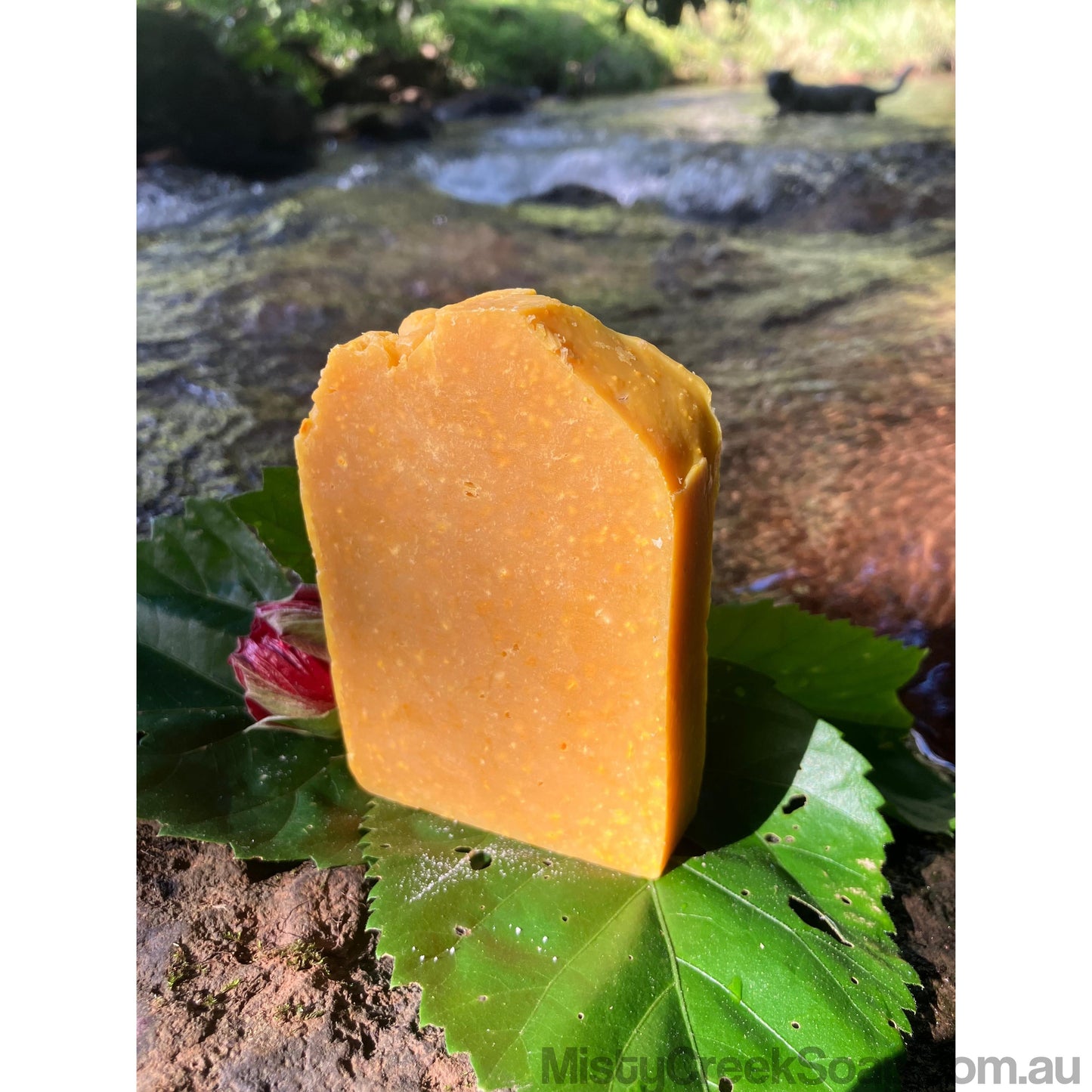 Biodynamic Cow’s Milk, Pumpkin & Spice Soap