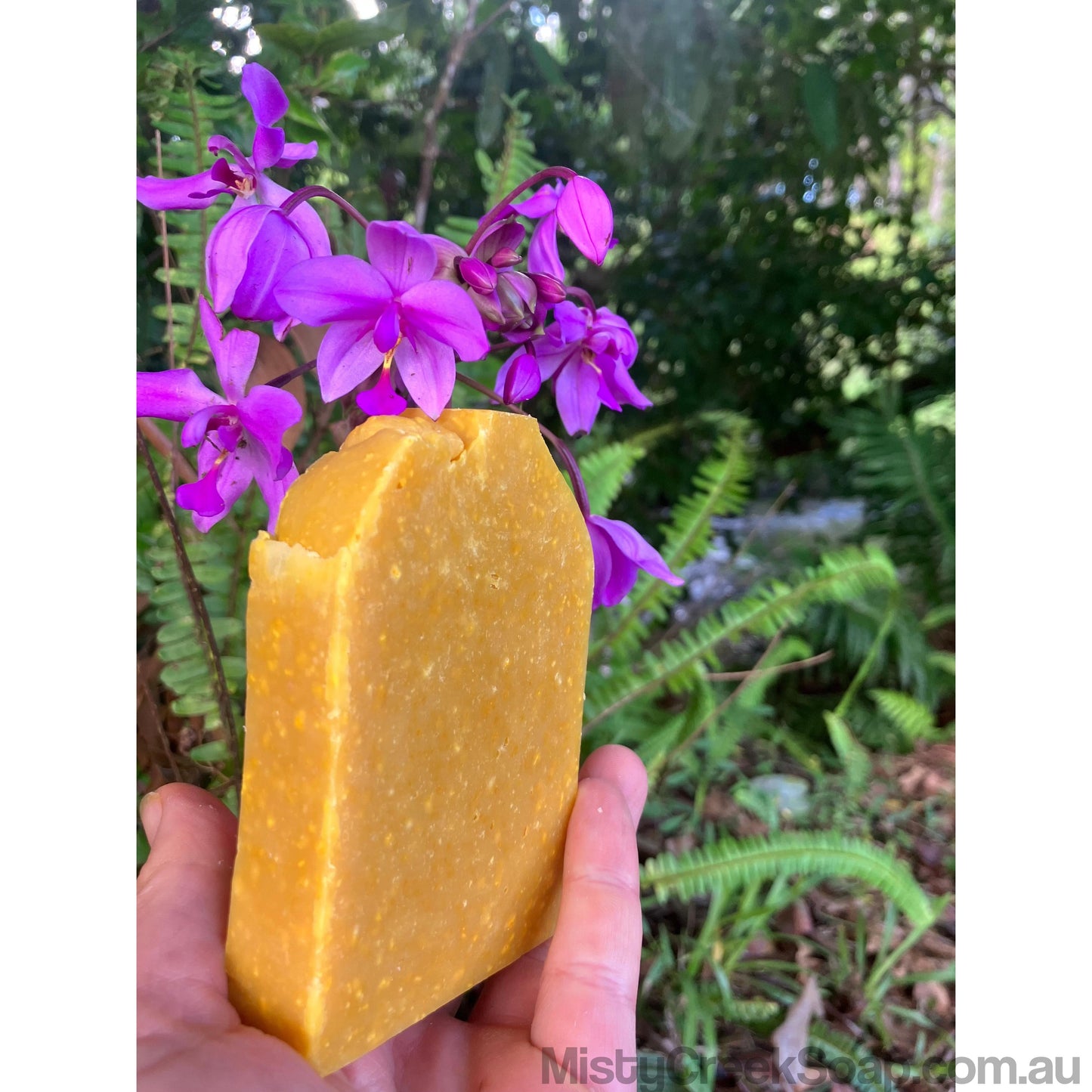 Biodynamic Cow’s Milk, Pumpkin & Spice Soap