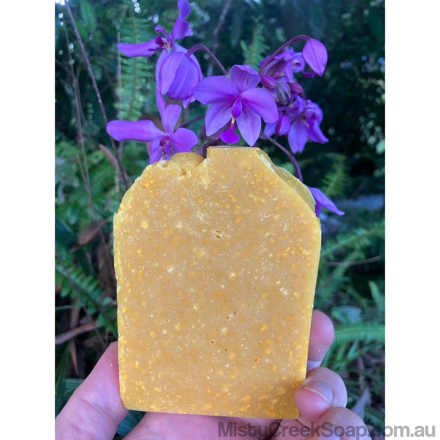 Biodynamic Cow’s Milk, Pumpkin & Spice Soap