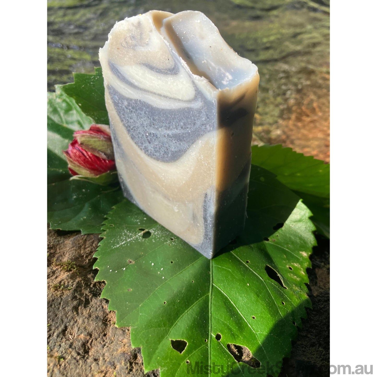 Layered Charcoal & Eucalyptus Soap