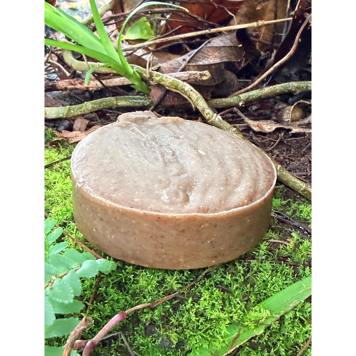 Avocado, Green Tea & Rosemary Conditioner Bar - Organic Ingredients