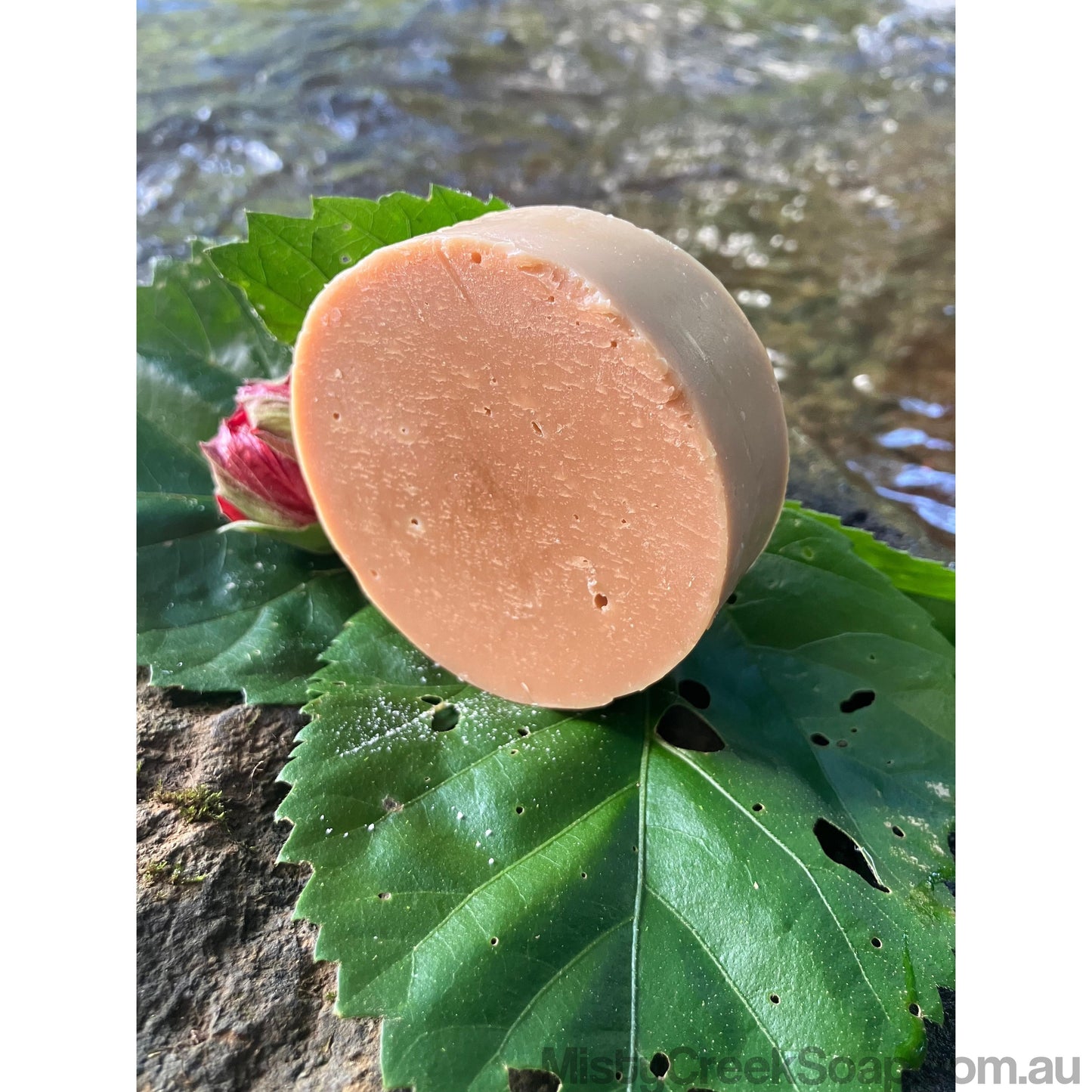Pink Grapefruit Essential Oil Shampoo Bar - 82% Organic Ingredients