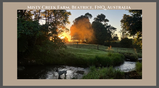 A life change, and a goal to work towards Self Sufficiency in Far North Queensland, Australia