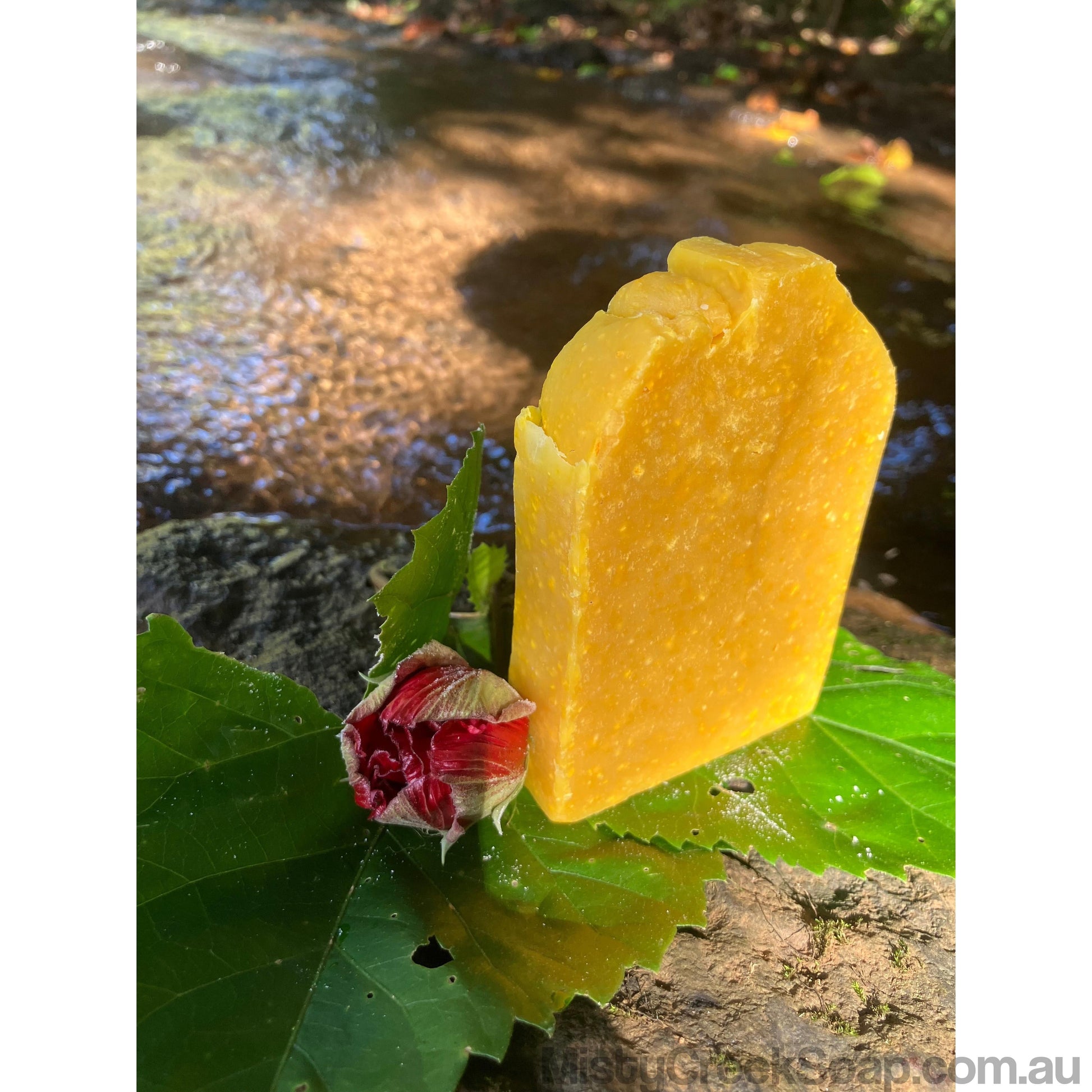 Biodynamic Cow’s Milk, Pumpkin & Spice Soap