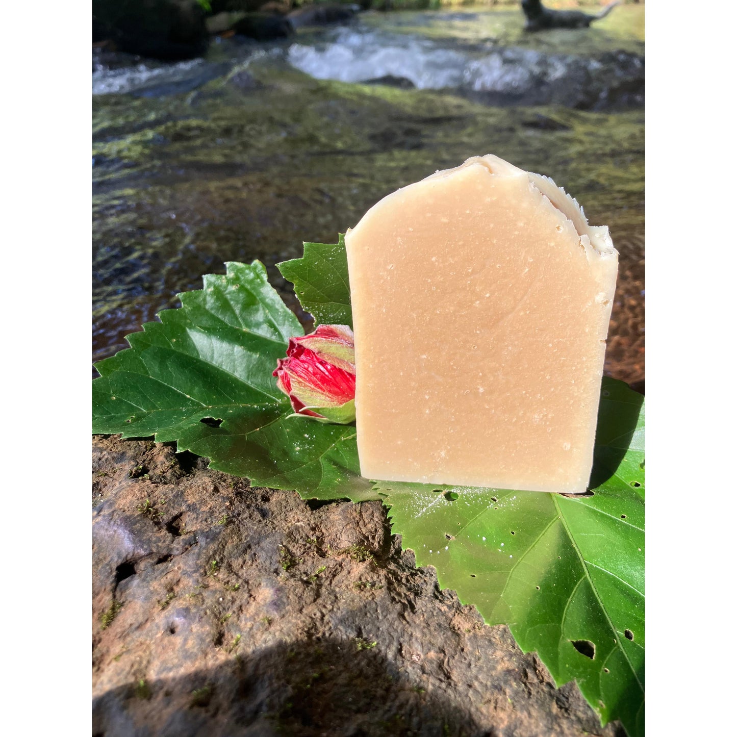 Bar of soap on a leaf with a natural background