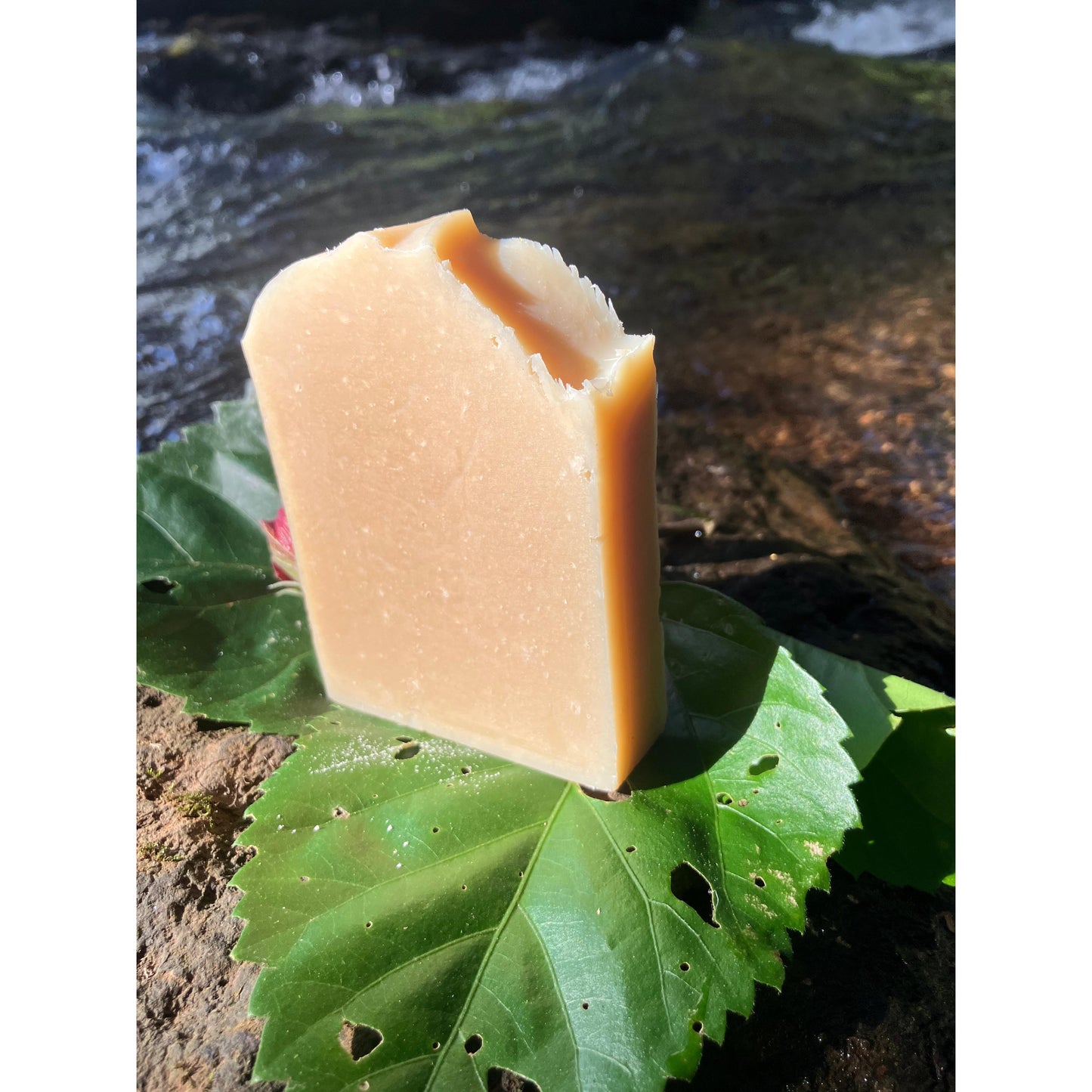 Block of soap on a green leaf with a natural background