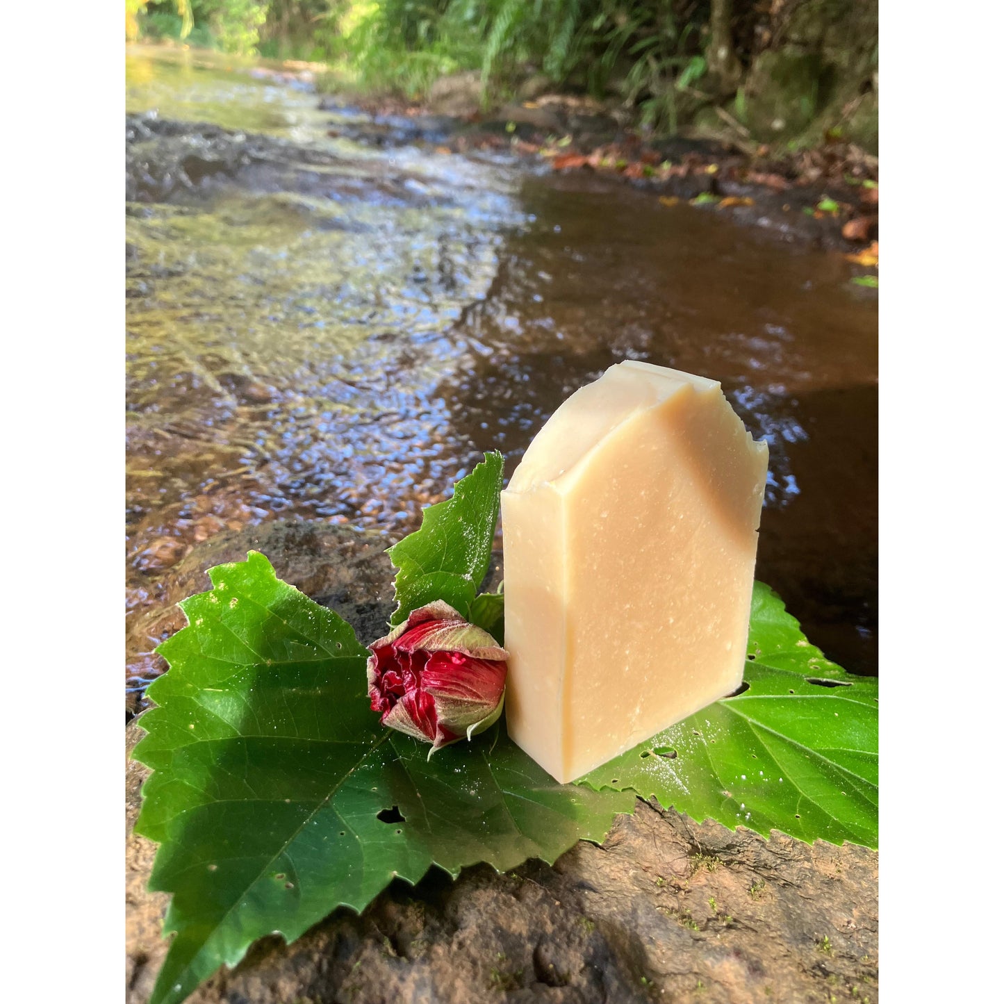 Bar of soap on a leaf with a natural background