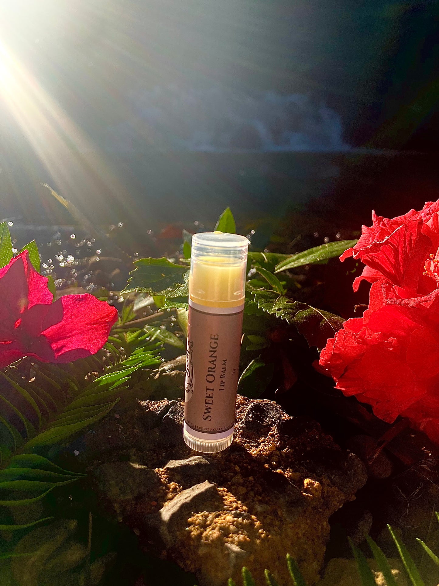 Citrus lip balms with vitamin e oil