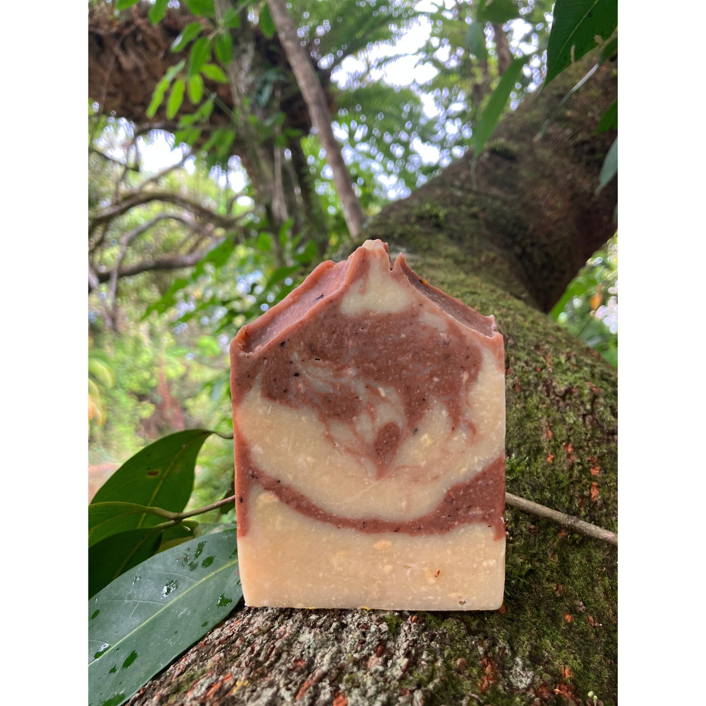 Biodynamic Cow’s Milk, Mixed Berry & Clay Soap - Organic Ingredients