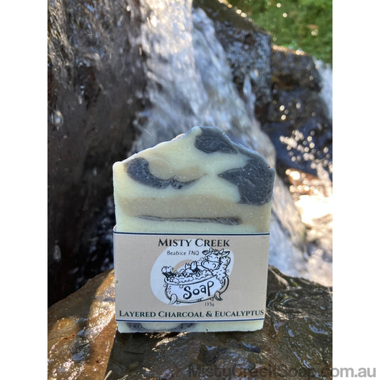 Layered Charcoal & Eucalyptus Soap