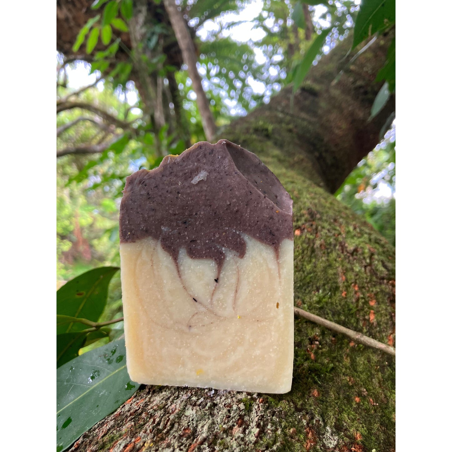 Organic lavender deep purple and marble patterned soap bar attached to a tree front