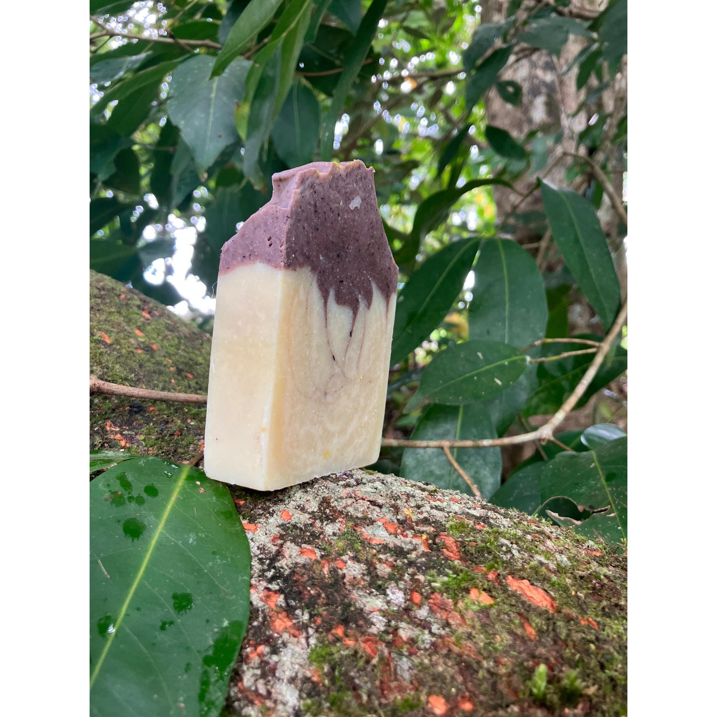 Organic lavender deep purple and marble patterned soap bar attached to a tree Other side