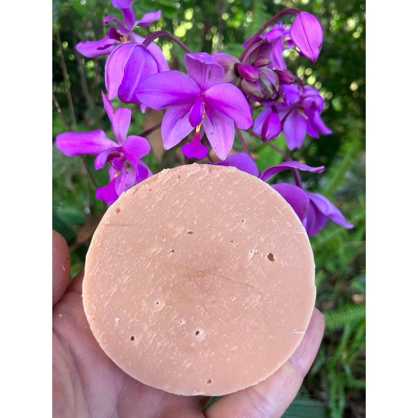 Pink Grapefruit Essential Oil Shampoo Bars