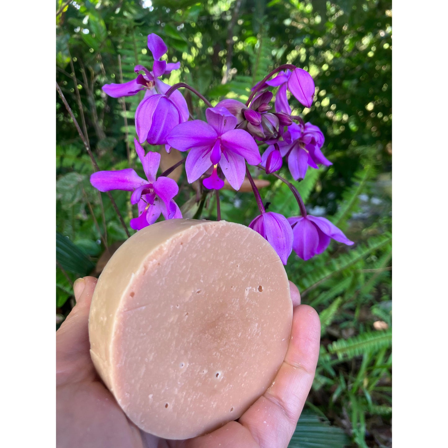 Pink Grapefruit Essential Oil Shampoo Bars